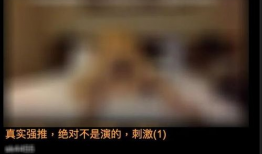 黄色视频,警示与反思